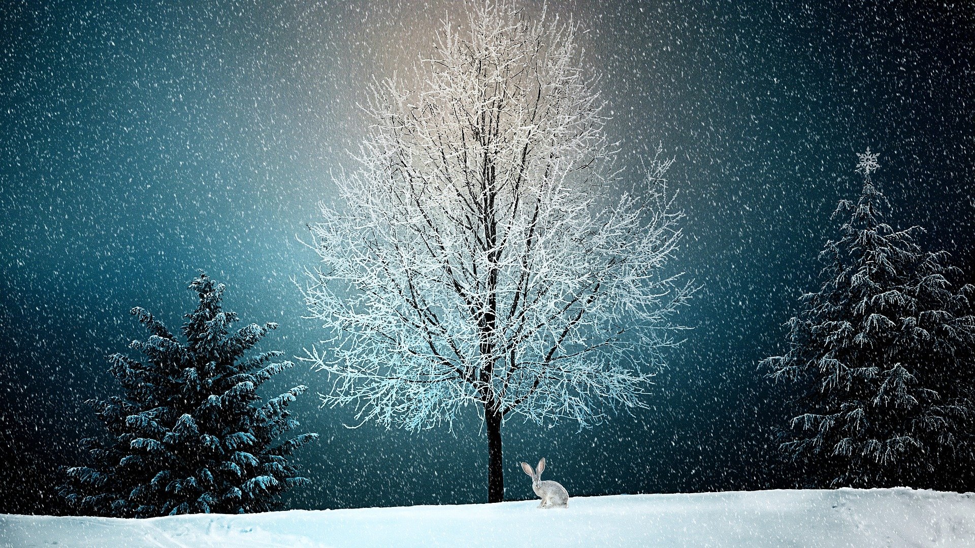 Winter scene on an eCard